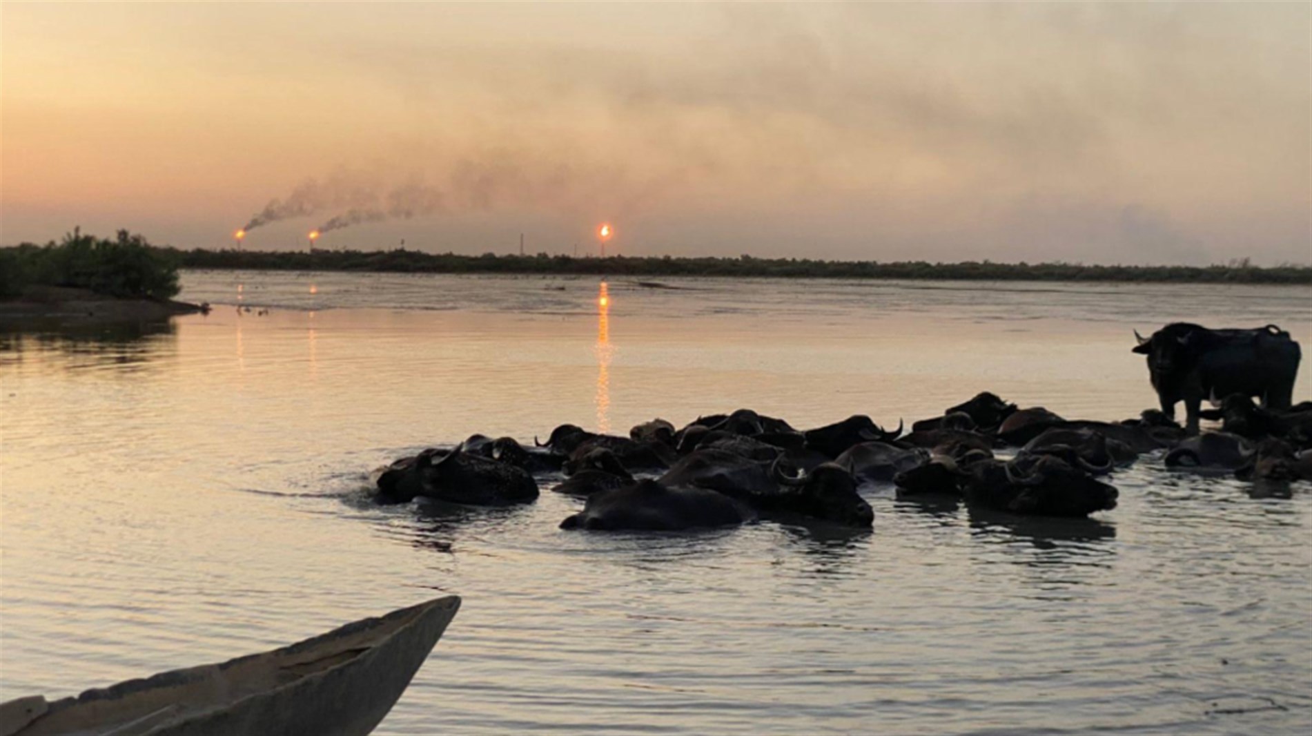 [Webinar] Environmental Displacement of the Indigenous Ahwari People in Iraq’s Wetlands