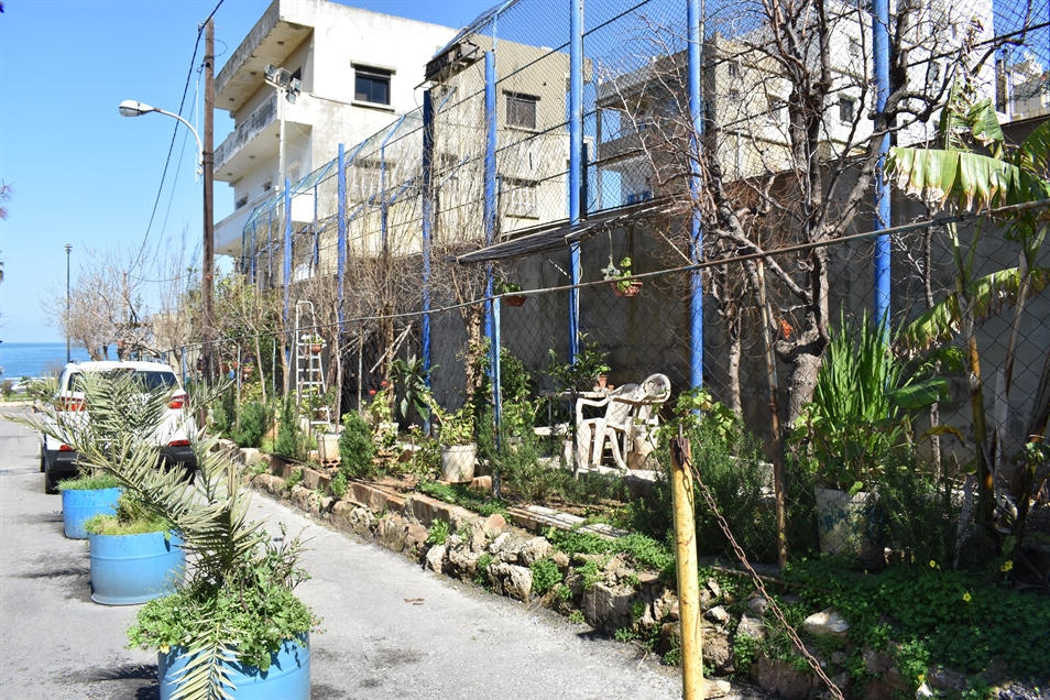 Linear pocket garden lining the back of the ACS sports building, including a plastic white chair; we were told by the woman living in the adjacent old building that the garden is maintained by her brother (Photo: Myriam Khoury, March 2020)